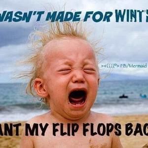 Meet your Posher, Shirley